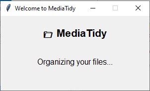 MediaTidy Screenshot 1